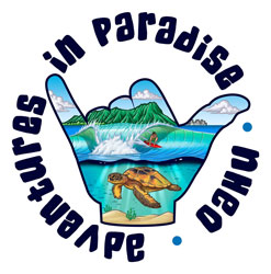 Oahu summer camps