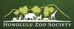 Oahu summer camps